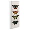 Stupell Industries Butterfly Lineup Vintage Framed Giclee, design by Dan Meneely